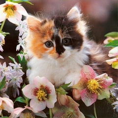 Дина Дюсембиева, 23.01.1986