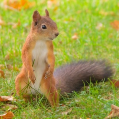 Николай Ронжин, 02.06.1979, Череповец