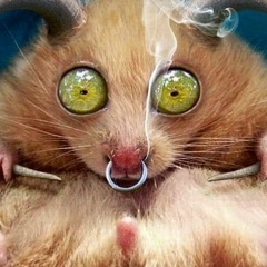 Бахус , 15.02, Воронеж