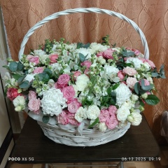 Елена Родина, 01.11, Самара