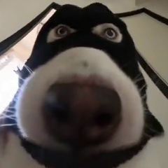 Кирилл Шестаков, 01.02.1988, Мытищи