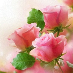 Moldir Serik, Томск