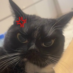 Роман Справник, 05.11.1991, Южно-Сахалинск