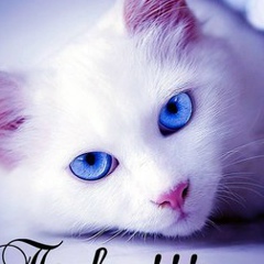 Антонина Горюнова, 22.03.1990