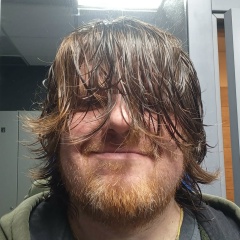 Дмитрий Павлов, Санкт-Петербург