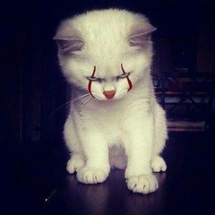 Александер Комотёсов, 18.03.1987