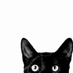 Alexander Voitsekhovich, 13.05, Москва