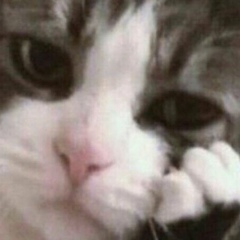 Владислав Холод, 16.05