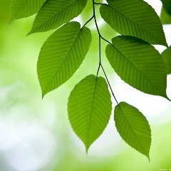 Александр Брык, 23.06.1978, Киев