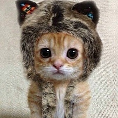 Арсен Арутюнян, 30.11, Москва