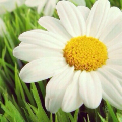 Светлана Мальма, 04.04, Самара