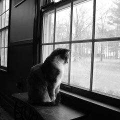 Альбина Грин, 12.05.1987, Нальчик