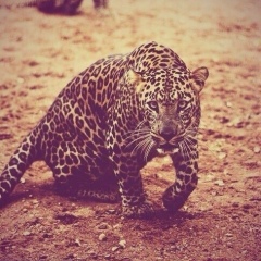 Аян Тотаев, 11.08.1995, Алматы