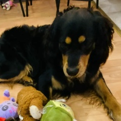 Сполем Сполем, Альметьевск