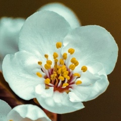 Варвара Арискина, 13.09, Челябинск