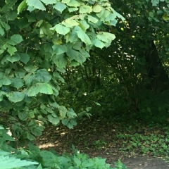 Ангелина Мелькина, 22.02, Коломна