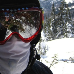 Виталий Шеин, 31.08.1982, Норильск