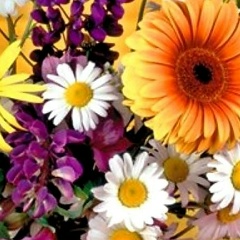 Татьяна Тат, 07.04, Мурманск