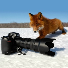 Лена Лисянская, 25.01