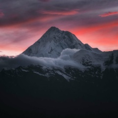 Дима Викторов, Мытищи