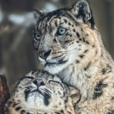 Александр Гарник, 09.07, Донецк