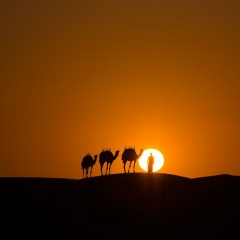 Мейрам Абильдинов, 22.03, Павлодар