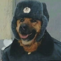 Саша Кряки, 28.01