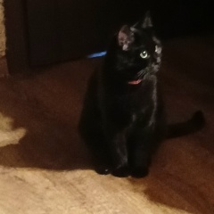 Татьяна Агеева, Москва