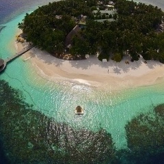 Айгул Ерлан