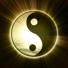 Николай Нескажу, 19.11