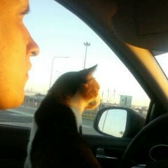 Иван Федоров, 13.08, Санкт-Петербург