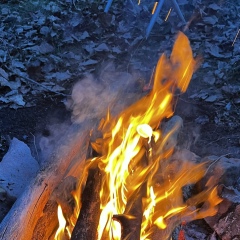 Владимир Владимир