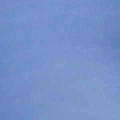 Екатерина Толокнова