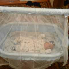 Динара Молдабекова, 13.01.1989, Тараз