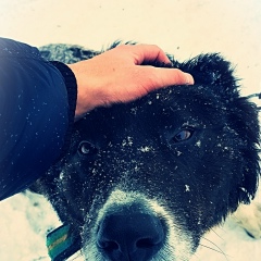 Жаник Капаров, 01.08