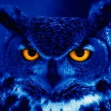 Алексей Стокер