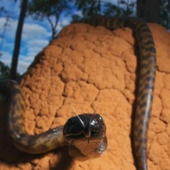 Эльвира Нуруллина, Казань