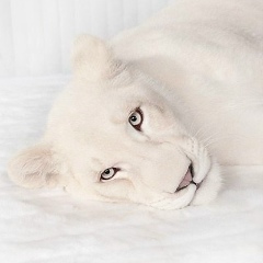 Тамара Степанова, 27.07.1987