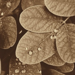 Юлия Юлия, 31.05