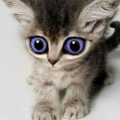 Анна Калько, 05.01, Брест