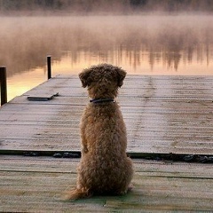 Артём Выровой, 26.04, Смела