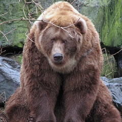 Игорь Медведев, 24.04