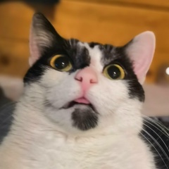 Катюшка Феськова, 27.06, Санкт-Петербург