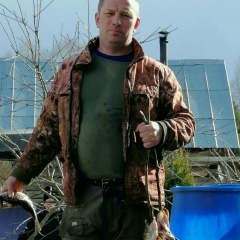 Дмитрий , 29.08.1977, Череповец