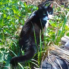 Кирилл Матасов, 01.04.1983, Москва