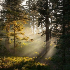 Макс Жовтобрюх, 03.10