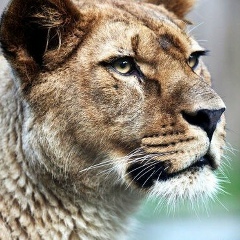 Лена Милова, 24.07, Москва