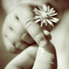 Анна Породькина, 16.04.1984, Краснокамск