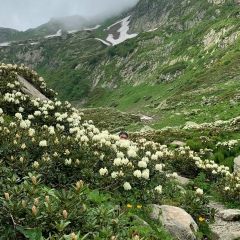 Константин Любимцев, 25.07, Москва
