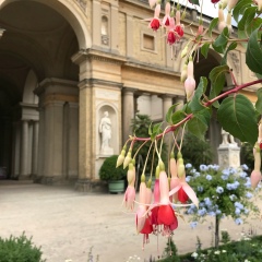 Елизавета Никулина, 29.08, Москва